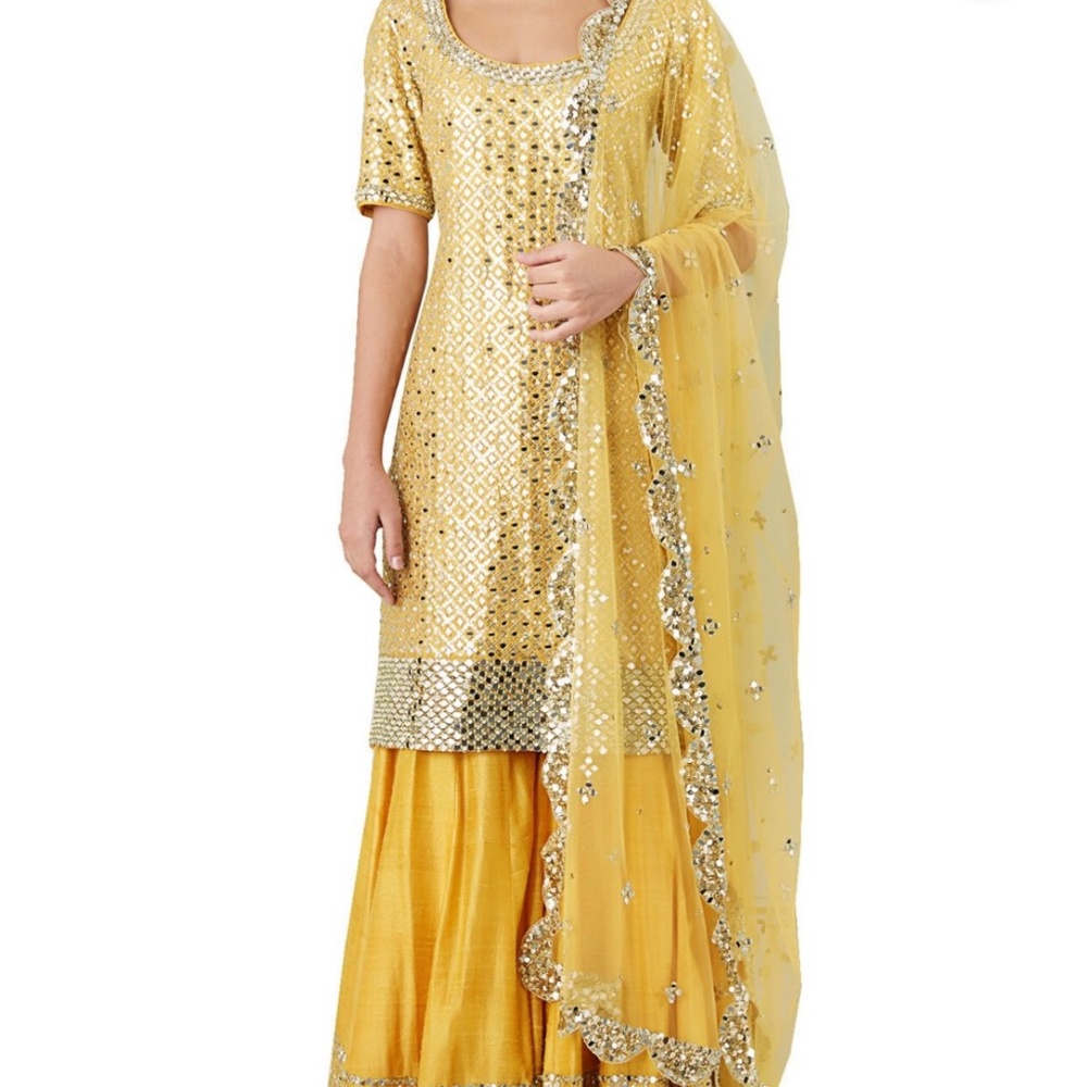 Gorgeous Sharara set from Abinav Mishra